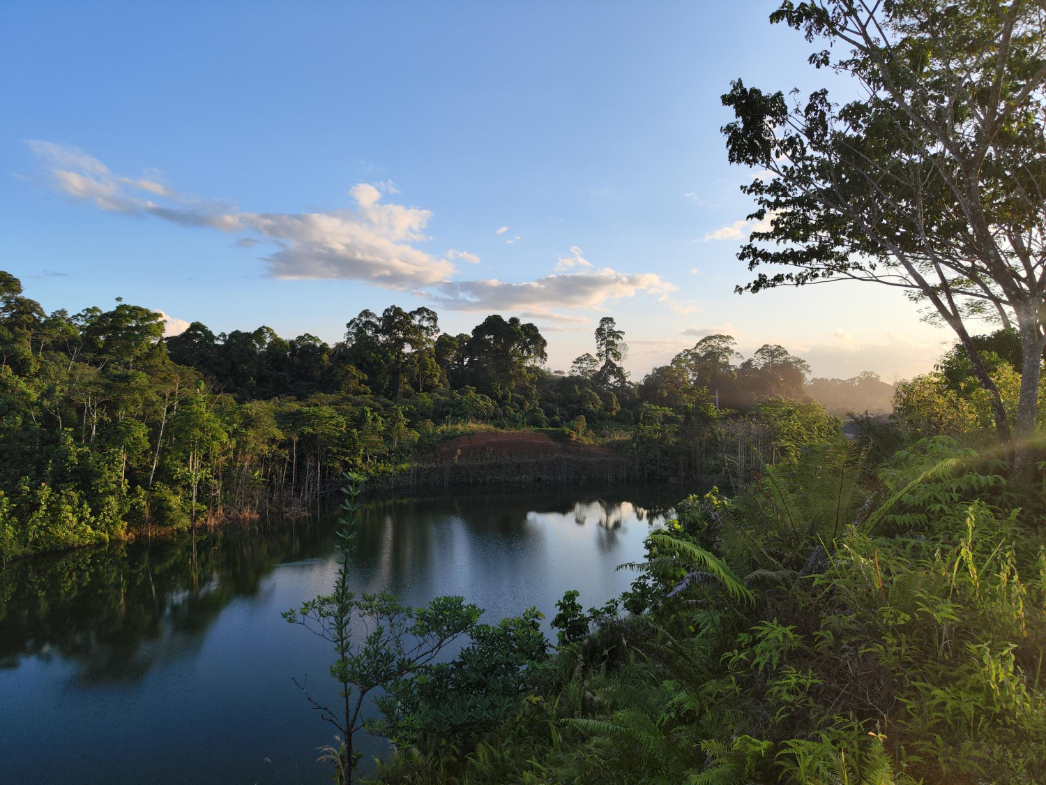 Os governos brincam de fazer ciência na Amazônia